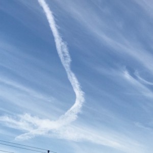 2016_Larry_Taylor_Chems_Muse_IMG_8726