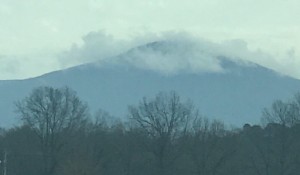 2016_Larry_Taylor_Darnette_Poteau_MT