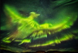 2016_SS_Auroras