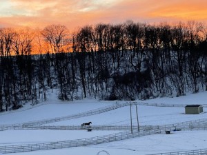 2016_Twitter_Lou_Dobbs