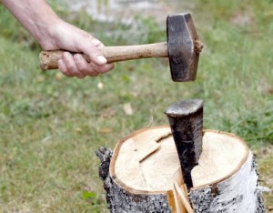 2016_YOWUSA_Texas_woodcutting-wedge