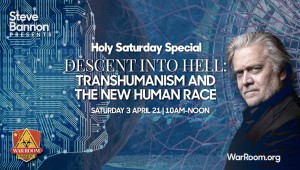 2016_A_A_A_A_a_Steve_Bannon_Trans