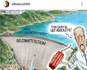 2016_A_A_A_A_a_political_cartoon_constitution