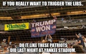 2016_Hal_Turner_TrumpWon-YankeeStadium-05-27-2021