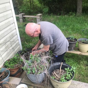 2016_Larry_Taylor_A_Planting_May_2021