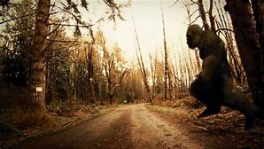 2016_Yahoo_Bigfoot-2