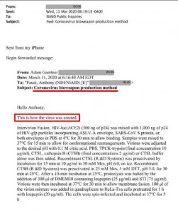 2016_Hal_Turner_CoronaVirus-BioWeapon