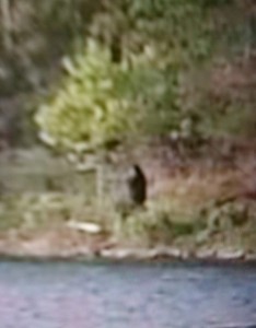 2016_Bigfoot_Oklahoma-1-IMG_20210723_232310