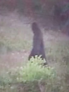 2016_Bigfoot_Oklahoma_3-IMG_20210723_232215