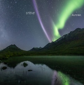 2016_SW_steve_strip_lab