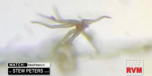 2016_A_A_A_A_A_a_Forbidden_Knowledge_virus