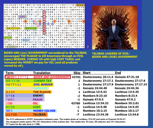2016_A_A_A_A_A_a_Roffman_Code_Biden_Betray_biden_bull