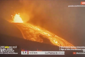 2016_Hal_Turner_lapalma-10-31-2021_large