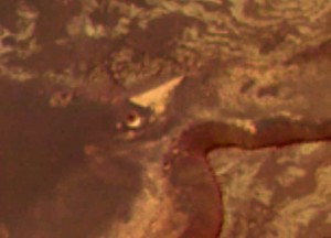 2016_Tom_Horn_Mars_Melas_Chasma_Triangle