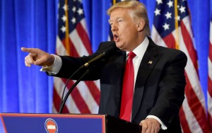 2016_A_A_A_A_A_a_Trump_Left_Punching_Bag