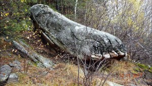 2016_Ernest_MUldashev_Giant_Foot_Fossil