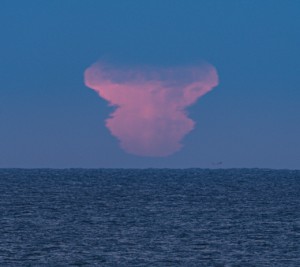 2016_SW_Mushroom_mirage_strip