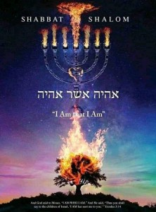 2016_A_A_A_A_A_A_a_Tom_Mack_Shalom_2021_IMG_1871