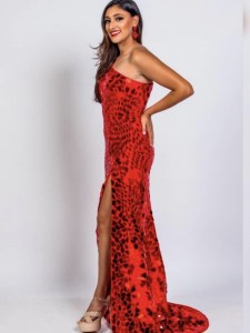 2016_Larry_Taylor_Ashley_Patel_Christmas_2021_IMG_1875