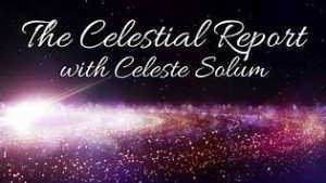 2016_Celeste_Solum_Report_image_th