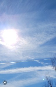 2016_Larry_Taylor_Shane_Beesley_PX_230347_Gallery