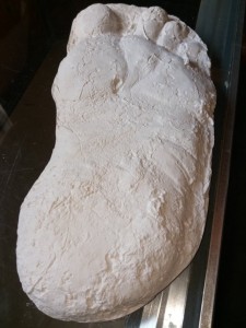 2016_Vandeventer_Cast_Shane_Church_Bigfoot_Museum_Dec18_image_1639857934648