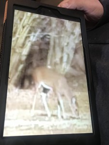 2016_Vandeventer_Johnny_Scott_IPAD_deer&Bigfoot_image_IMG_2021